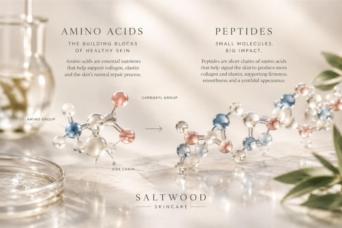Molecular Image of Amino Acids and Peptides alongside brief descriptions of their benefits to skincare